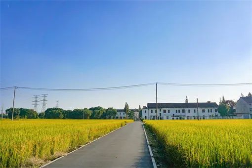 “一地二包”，誰最終有權(quán)獲得？