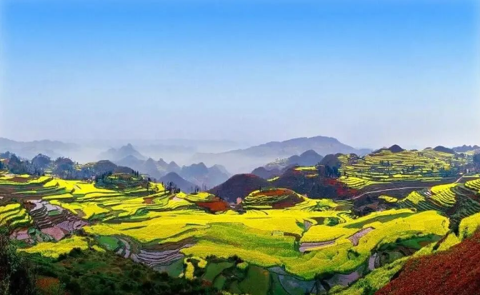 發現土地征收違法行為，申請違法查處行政不作為？法院：履行法定職責！