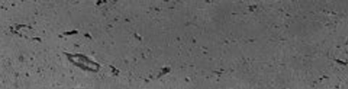 1-160320142109.jpg